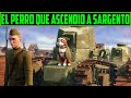 HISTORIA REAL -  EL PERRO QUE ASCENDIÓ A  SARGENTO - SARGENTO STUBBY RESUMEN EN 10 MINUTOS