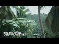 Into the Jungle | Deep House Set