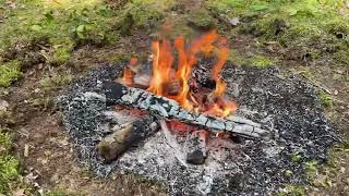 BBQ in a wild Belarusian forest