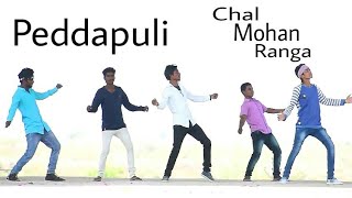 pedda puli full video song / Chal mohan ranga 2018