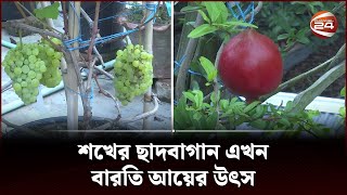 শখের ছাদবাগান এখন বারতি আয়ের উৎস | Faridpur | Channel 24