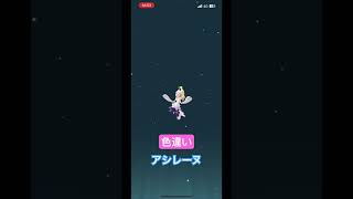 色違い#アシレーヌ 進化模様 #pokemongo #ポケモンgo #アシマリ