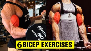6 Top Bicep Exercises for Bigger Arms - Bicep Exercises