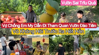 #579] Vợ Chồng Bạn Việt Nam Dẫn Đi Vườn 🍑Trái Sai Trĩu Quả Thấy Ham.Hái 20 Mấy Kg Đào 370k Có Rẻ?