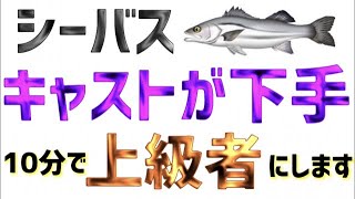 【シーバス】キャストが上達する３つの魔法！10分でキャストの上級者にします！