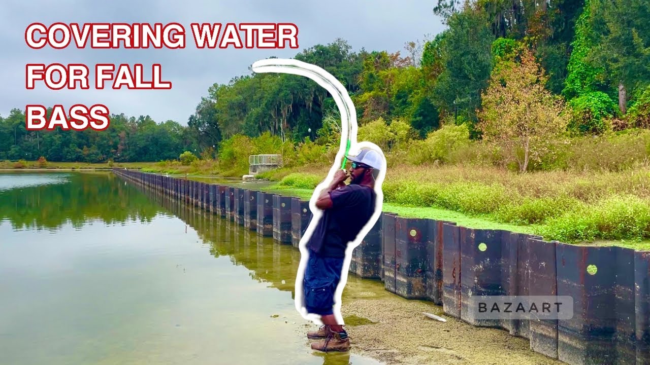 Florida Pond Hopping(Surprise Catch) Bank Fishing - YouTube