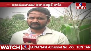 ఉమ్మడి వరంగల్ జిల్లాలో పంటలు ధ్వంసం | Warangal News | hmtv News