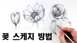 초보자를 위한 꽃 스케치 수업 / 꽃 잘 그리는 방법, 식물스케치 Draw flowers with a pencil