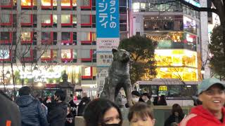 ハチ公前、土曜日渋谷駅、外国人観光客増えましたね、お土産を買って貰ってお金儲け！