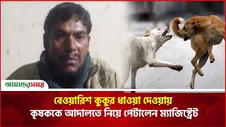 বেওয়ারিশ কুকুর ধাওয়া দেওয়ায় কৃষককে আদালতে নিয়ে পেটালেন ম্যাজিস্ট্রেট | Rajbari | Amader Shomoy