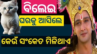 ବିରାଡ଼ି ଘରକୁ ଆସିଲେ କେଉଁ ସଂକେତ ମିଳିଥାଏ || odia story || Sadhubani || Anuchinta || odia Pouranik kotha