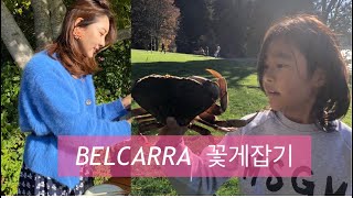 Belcarra  게잡이