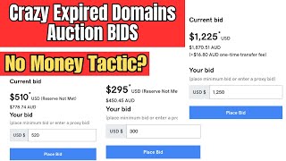 How Much Bid to Win an Auction for Expired Domains