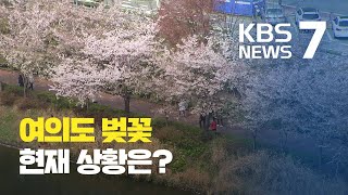 '여의도 벚꽃축제'...코로나19로 올해는 쉽니다 / KBS뉴스(News)