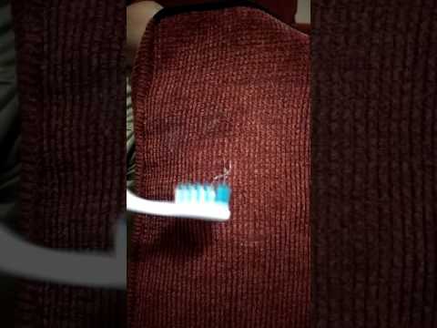 How to remove gum from couches and fabrics. How to remove gum from couches and fabrics.