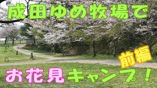 成田ゆめ牧場でお花見キャンプ！前編【陸遊び】