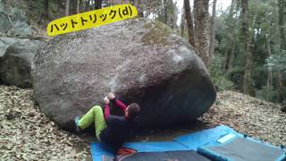 豊田 ハットトリック (d) 大給城址エリア