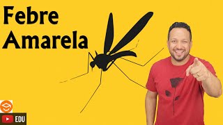 Febre Amarela: Tudo que você precisa saber! - Arboviroses - Viroses - Programa de Saúde