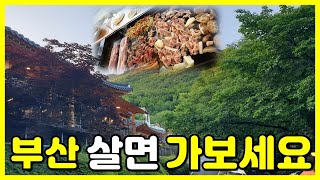 부산근교 가볼만한곳/ 부산근교 맛집/ 부산근교 카페/ 초원랜드