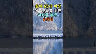 2025년 65세 이상 노인 분들을 위한 지원금 혜택 6가지 #지혜 #명언  #좋은글 #건강