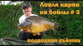 Ловля карпа на бойлы # 3 подводная съёмка (Видео 4К)