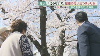 【桜ストーリー】昭和から平成、令和へ　半世紀以上にわたって団地の歴史を見守った桜