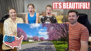 New Zealand Family React to 6 Happily Surprising Things About Living in America (MOVING THERE SOON?)