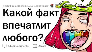 Странные ФАКТЫ, которые УДИВЯТ ЛЮБОГО 🤔