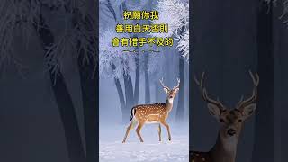 什麼是快、是慢？ 拾穗之悅～2025年1月12日