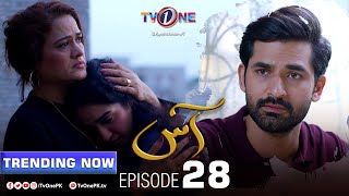 Aas | Episode 28 |  TV One Drama | Zain Baig - Hajra Yamin | TV One Dramas