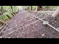 北海道で最も西にある神社は登山でした