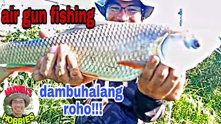 pampanga river rohu hunt day 2 part 2 || AIRGUN DART FISHING