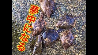 【平磯】カワハギに夢中♪fishingmax垂水店2019/09/29