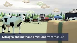 Solutions for manure treatment to reduce nitrogen en methane emissions