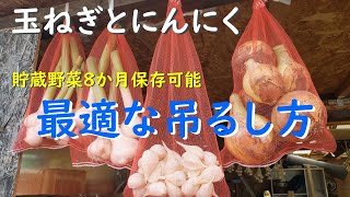 家庭菜園だからやってほしい！玉ねぎを最適に保存する吊るし方 (傷みやすい玉ねぎと保存に適した玉ねぎの違い)