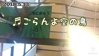 ごらんよ空の鳥 LSSI 2018.5.13 主の昇天(B年)のミサの拝領の歌