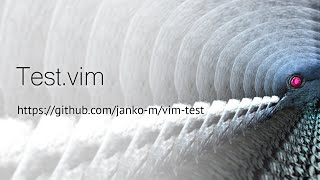 Fast Testing Workflow With Test.vim