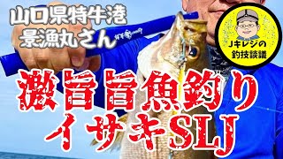 山口県下関市特牛港からイサキSLJ　激旨旨魚を追え！