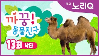 까꿍! 동물친구ㅣ자연관찰ㅣ낙타ㅣBabies\u0026KidsㅣPikaboo! Animal friendsㅣCamelㅣDaekyo noriQ l 대교 노리Q