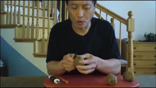 A Dozen Ways to consume a Kiwi without or a Knife How to eat a Kiwi