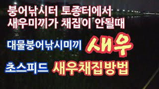 붕어낚시미끼새우 토종터에서 채집망에 새우가 안들어갈때 초스피드 새우채집방법