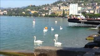 Freddie Mercury e Montreaux..un posto magnifico