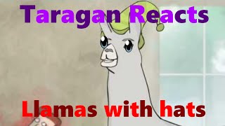 Taragan Reacts | Llamas with hats