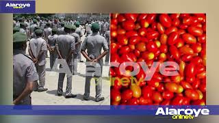 Ẹ FURA O, AWỌN KAN TI KO ỌPỌLỌPỌ TOMATO ALAGOLO TO TI BAJẸ WỌLU