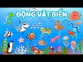 Động Vật Biển| Bé học các loại động vật biển| Song ngữ Việt-Anh| Hải cẩu, hải tượng, san hô, cua, cá