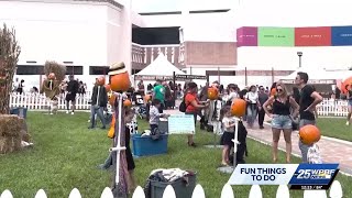 Fun things to do on the Treasure Coast and in Palm Beach this weekend