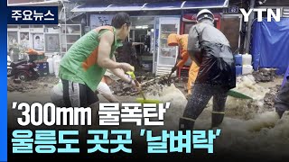 추석 앞두고 '300㎜ 물폭탄' 울릉도 곳곳 '날벼락' / YTN