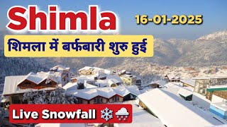 Shimla Live Snowfall Now | Shimla Snowfall Update / Shimla Snowfall Live #shimlasnowfalllatesttoday