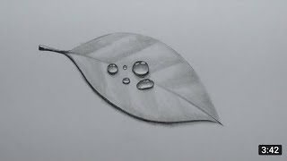 Easy 3D Leaf Water Drop Drawing With Pencil | 3D Pencil Drawing | realistic Pencil Drawing