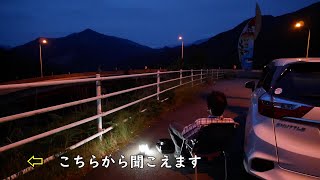 夜鷹（よたか）の鳴き声　かなりデカいです(´・ω・`)Night hawk